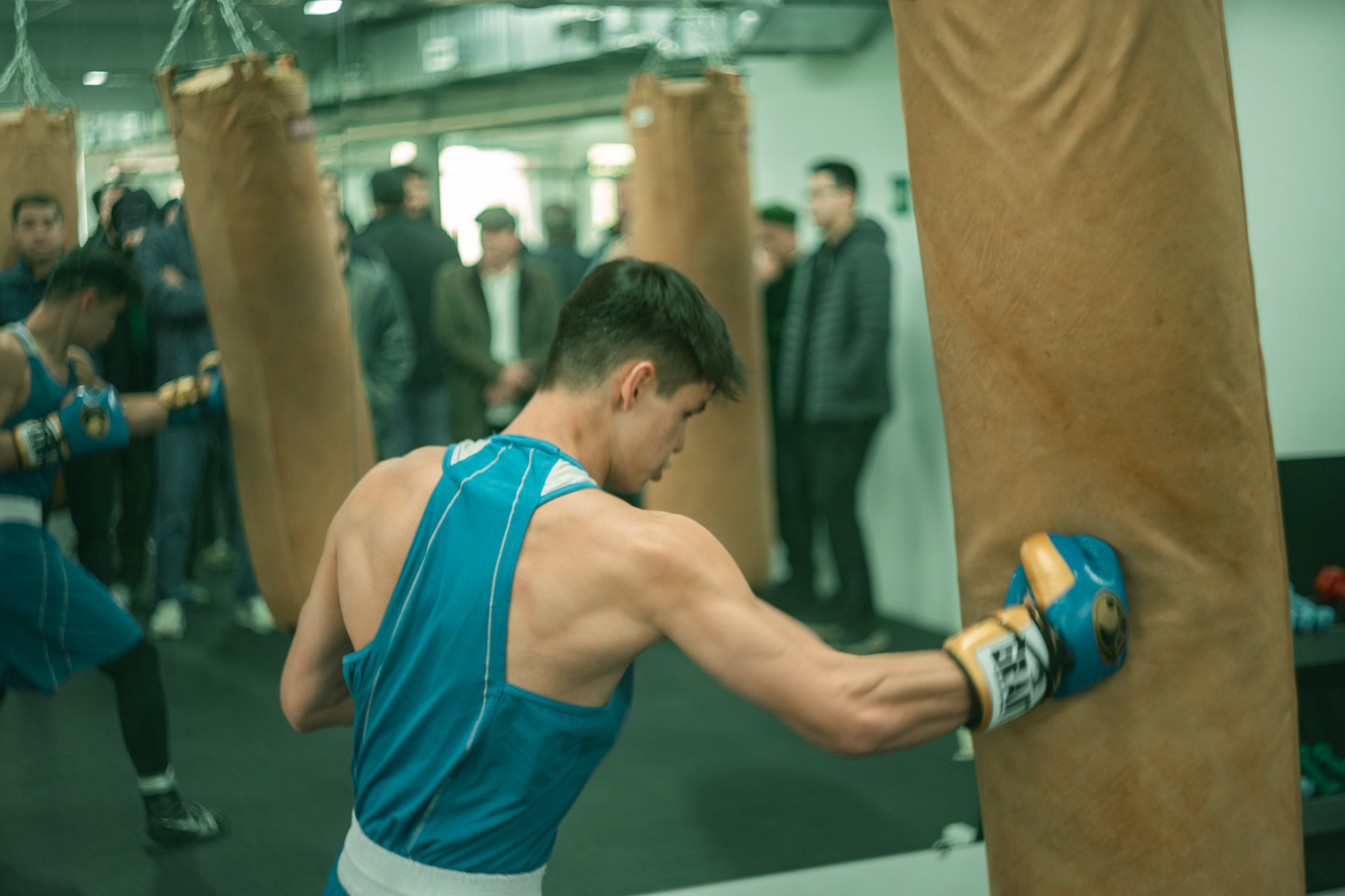 KJC Power Spaces: Boxing - Май